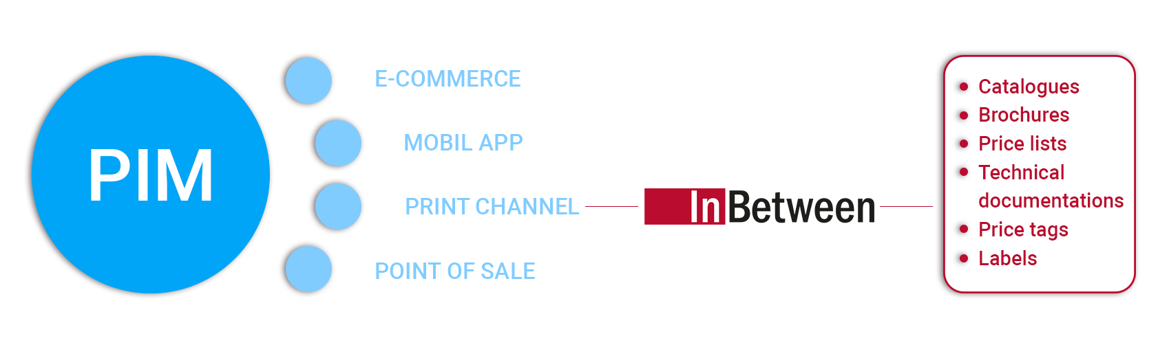 Database Publishing